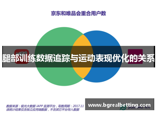 腿部训练数据追踪与运动表现优化的关系